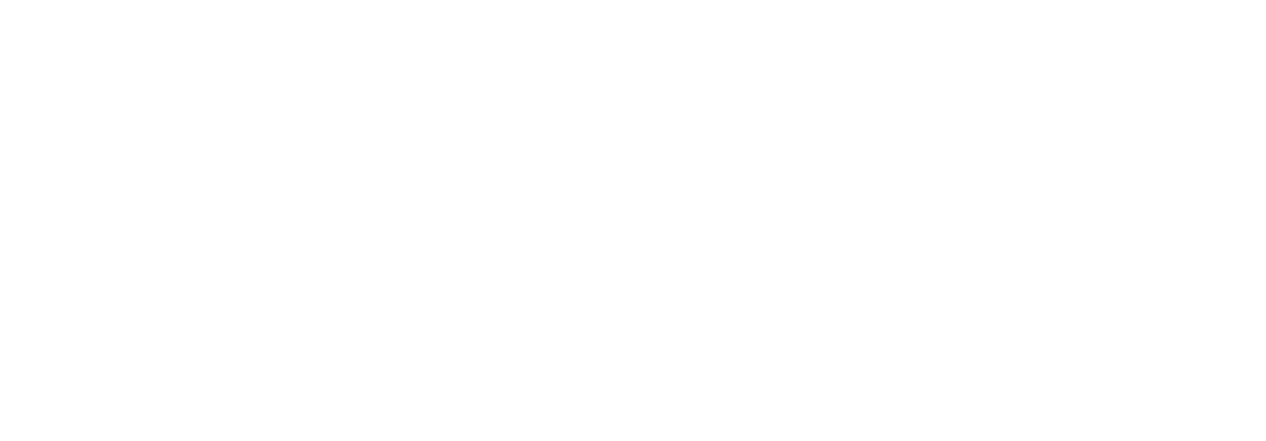 Stefan Bauer
